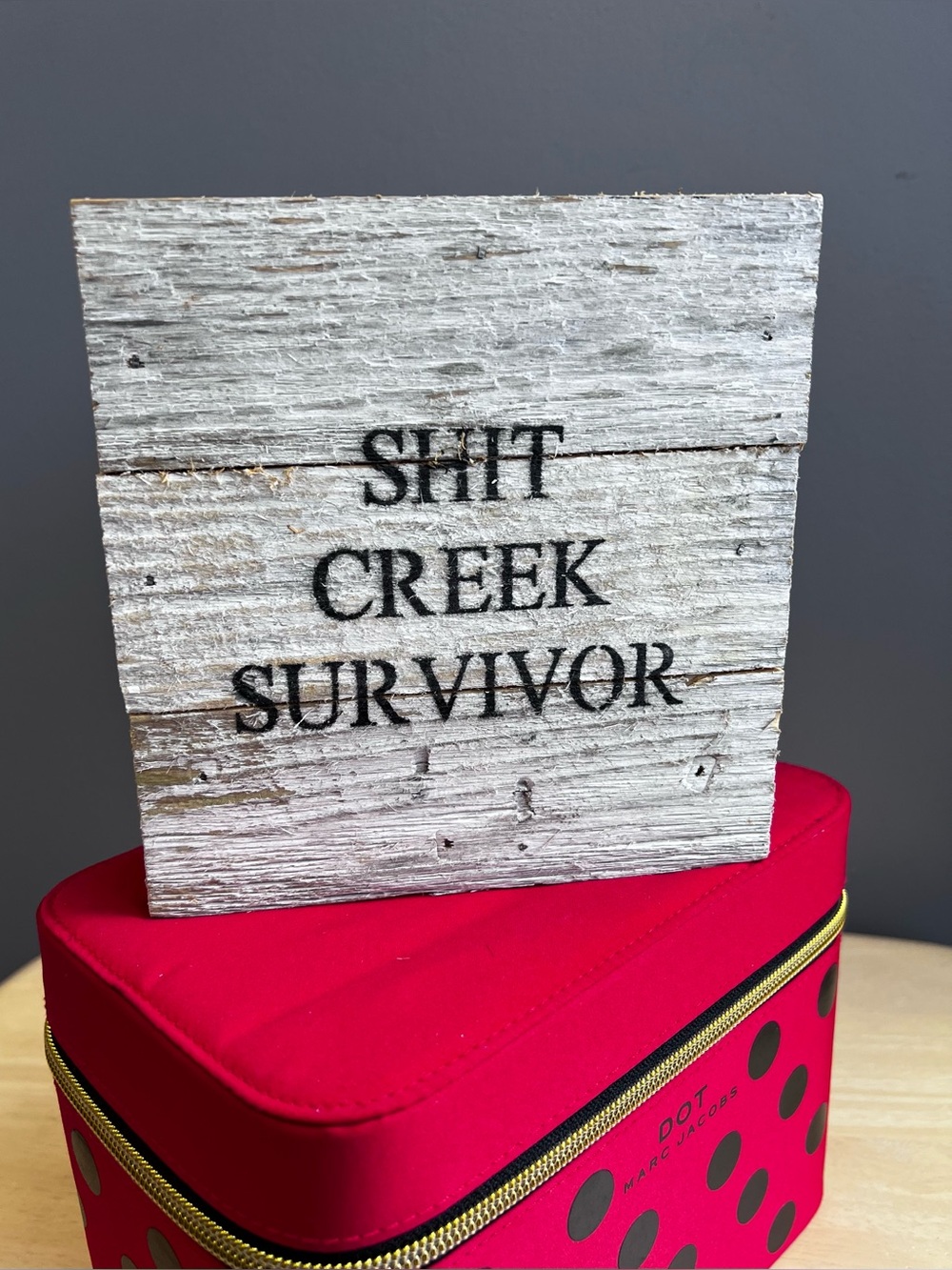 Rustic "Shit Creek Survivor" Wooden Sign - White & Black